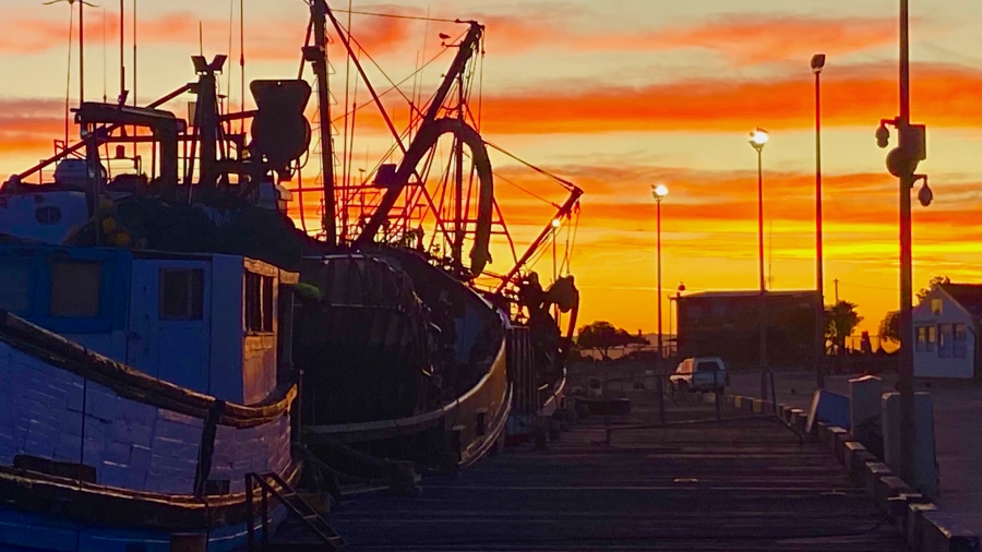 0 Bedroom Property for Sale in Velddrif Western Cape